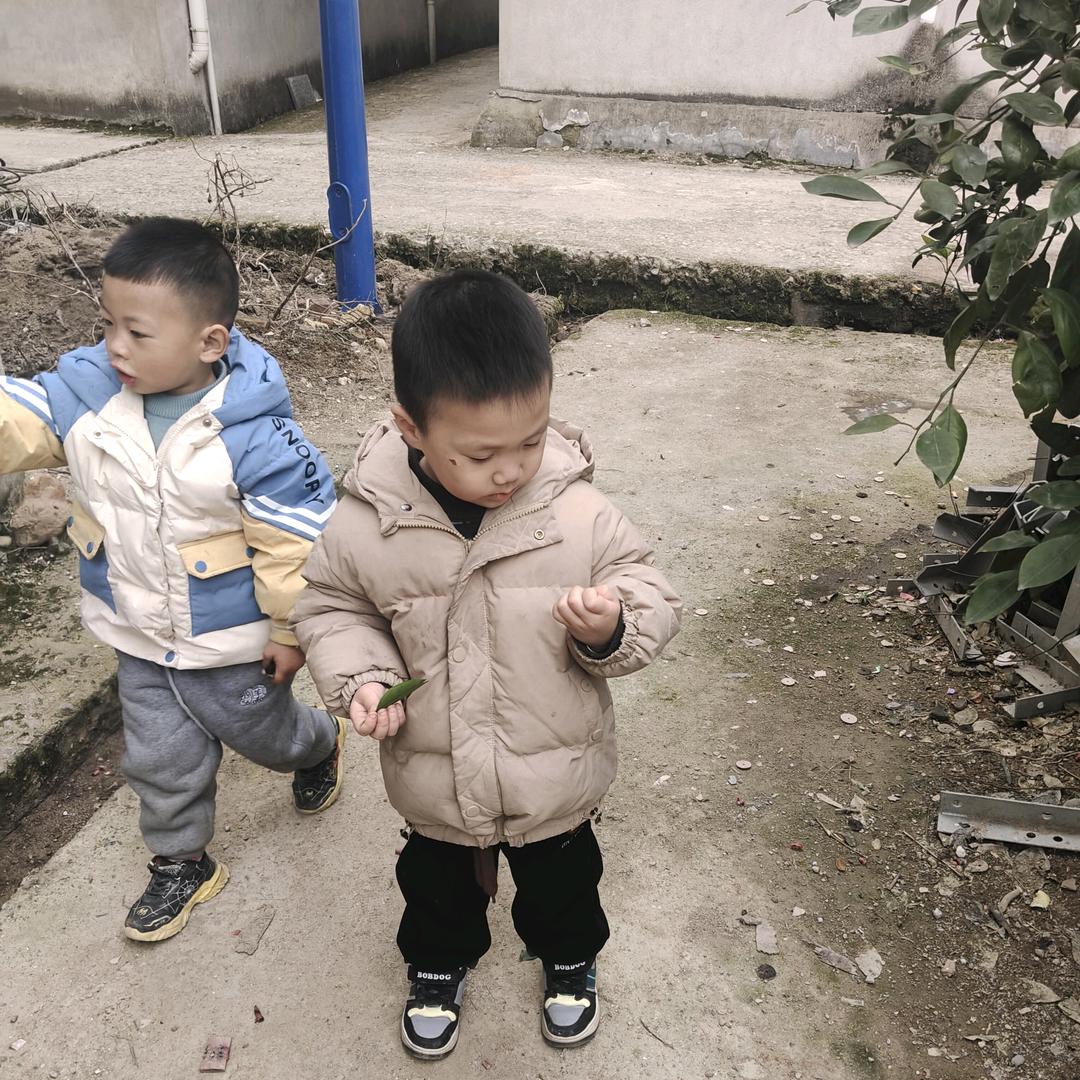 好运来，🌻🌻2908