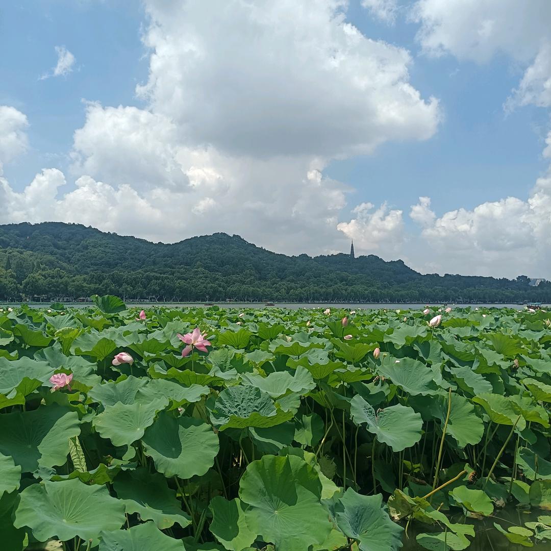 王锟15