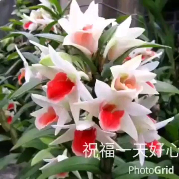 缘！