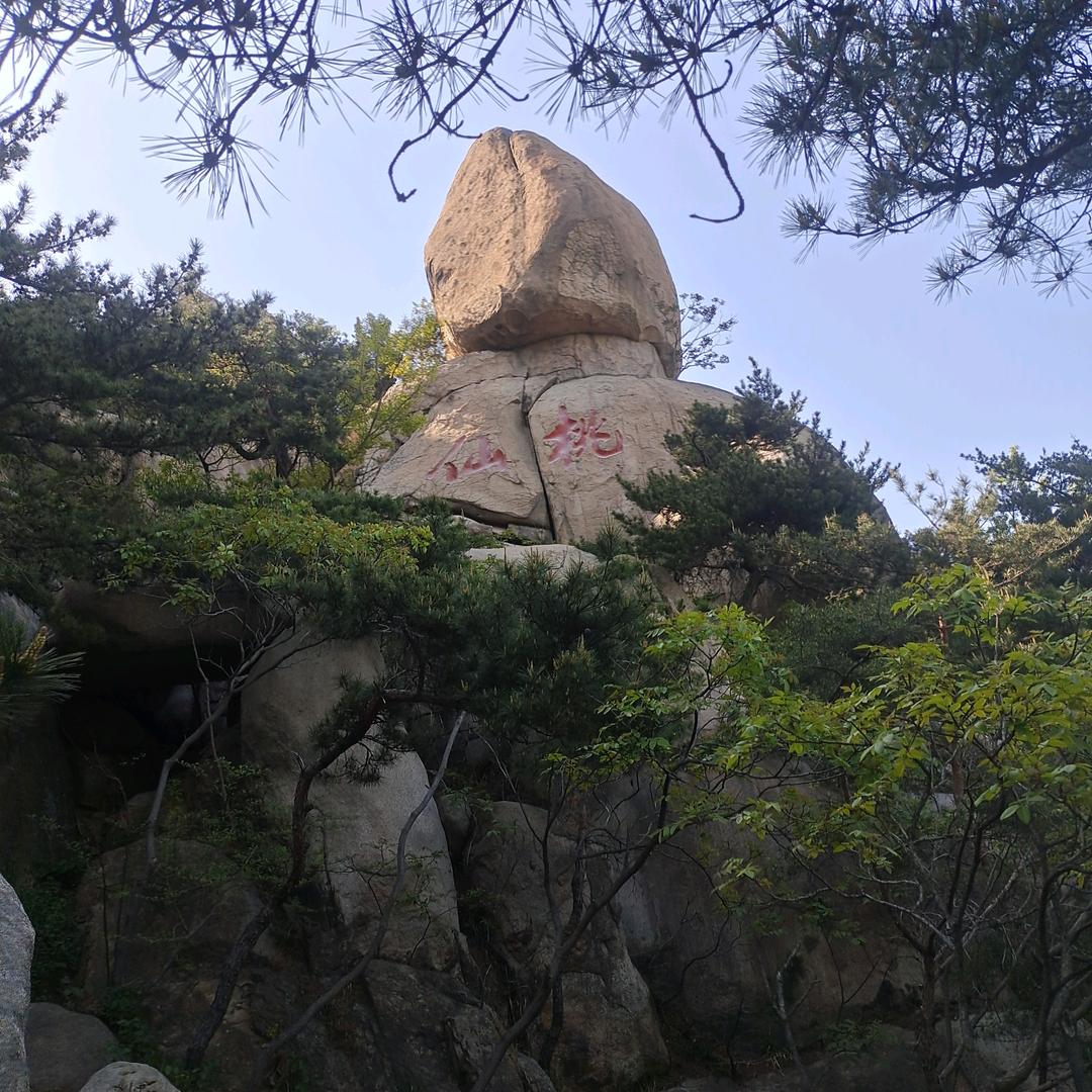 放飞梦想，展翅飞翔！