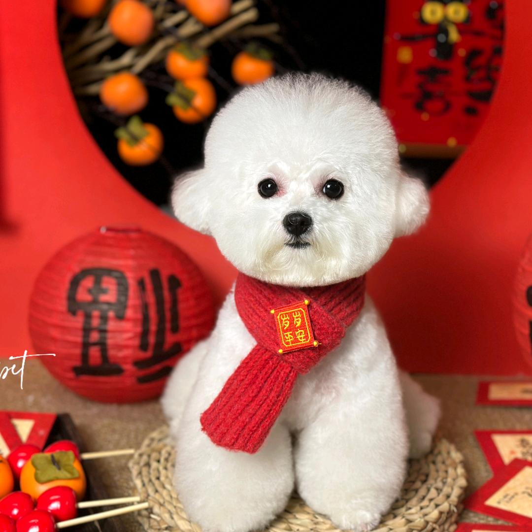 熊多乐_