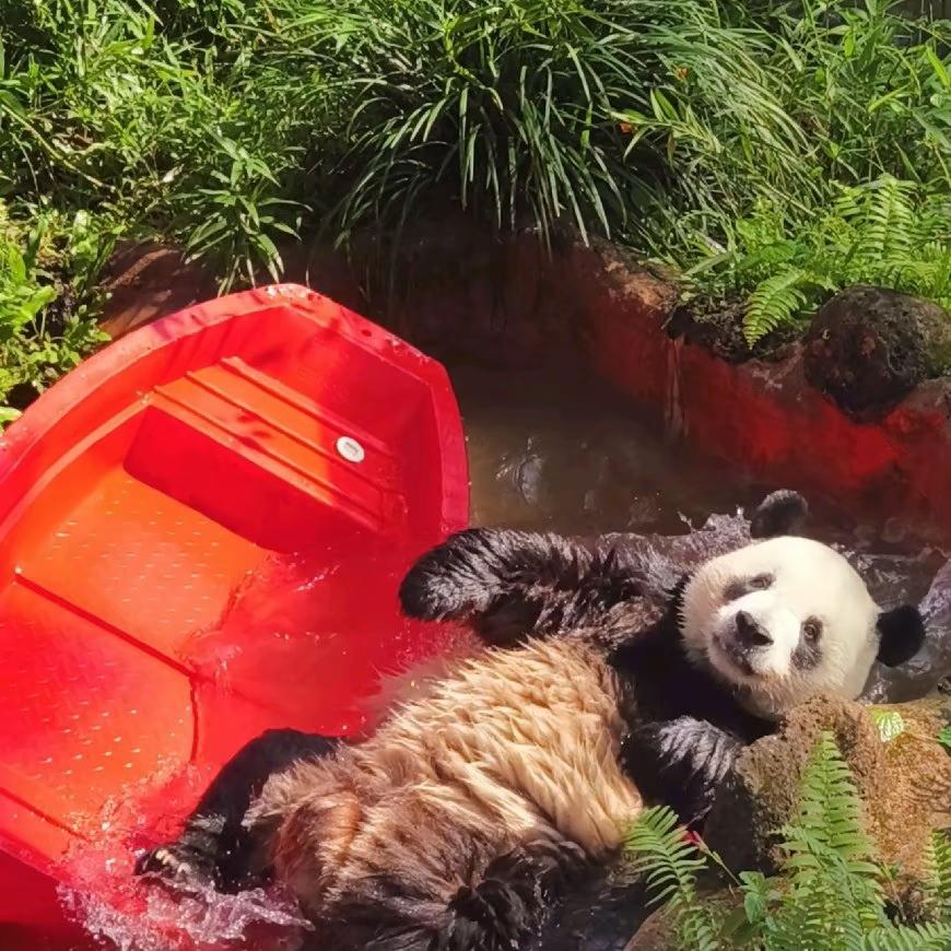 宝宝宝宝宝昕❤