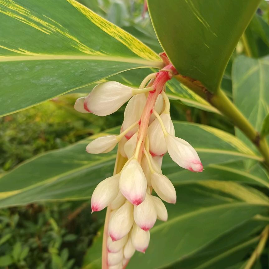 风景依然在,人也非少年
