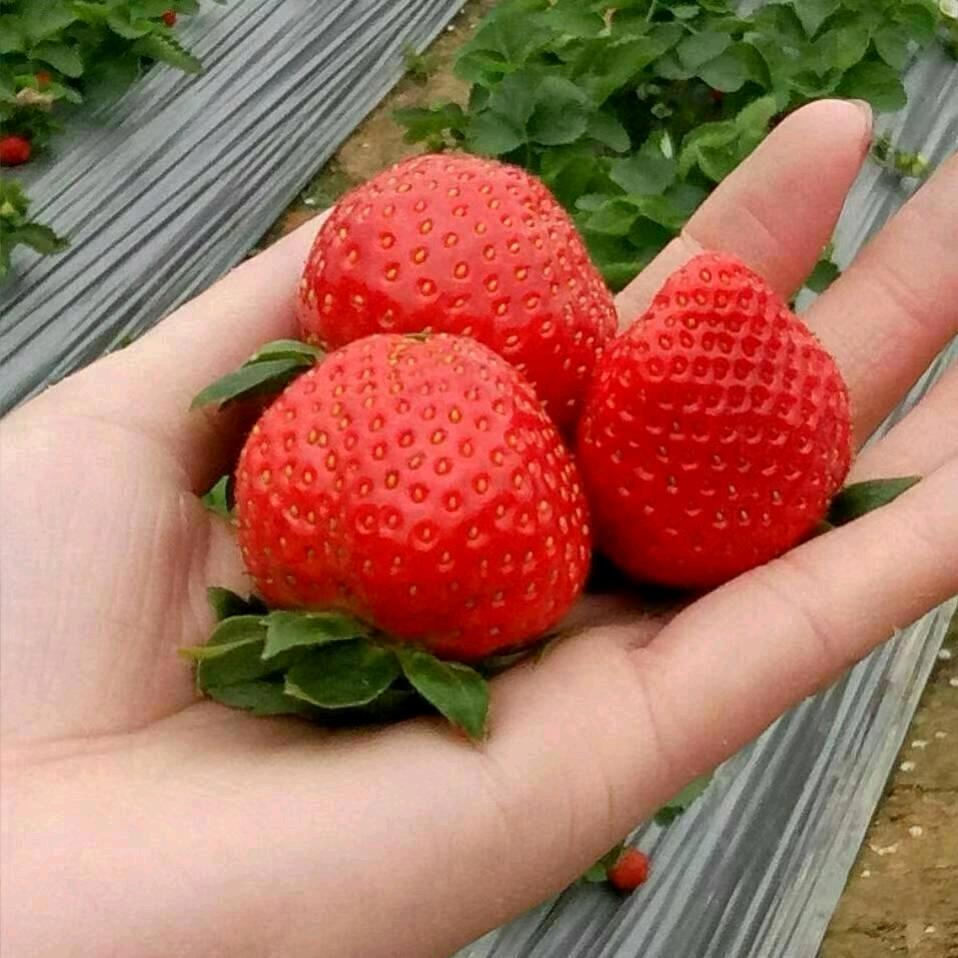 阳光之手，💝💝