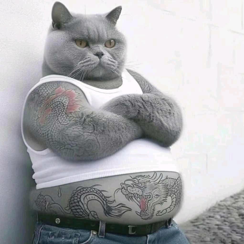 杨