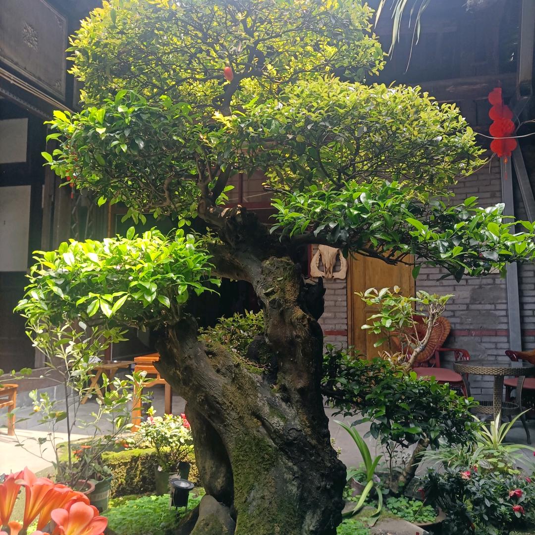 秋天的太阳