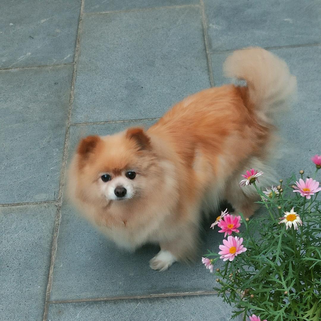 悦