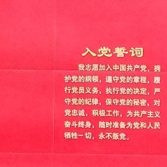 春雨花开