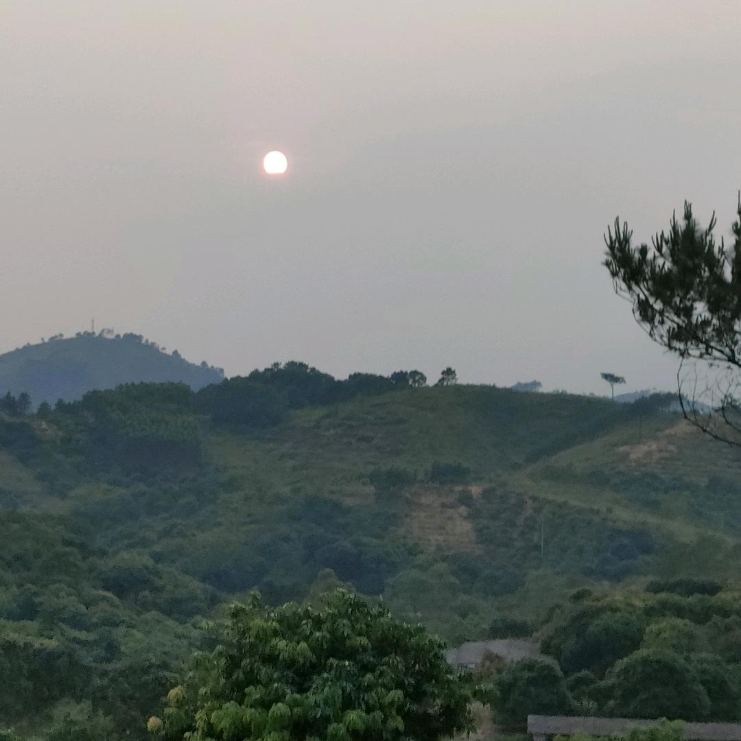 杨@