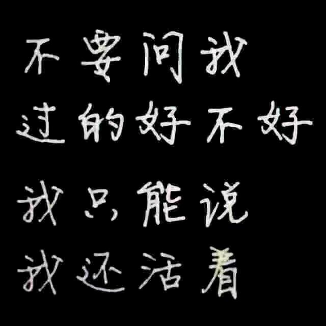 77年的蛇，11月21🐍🐍🐍🐍