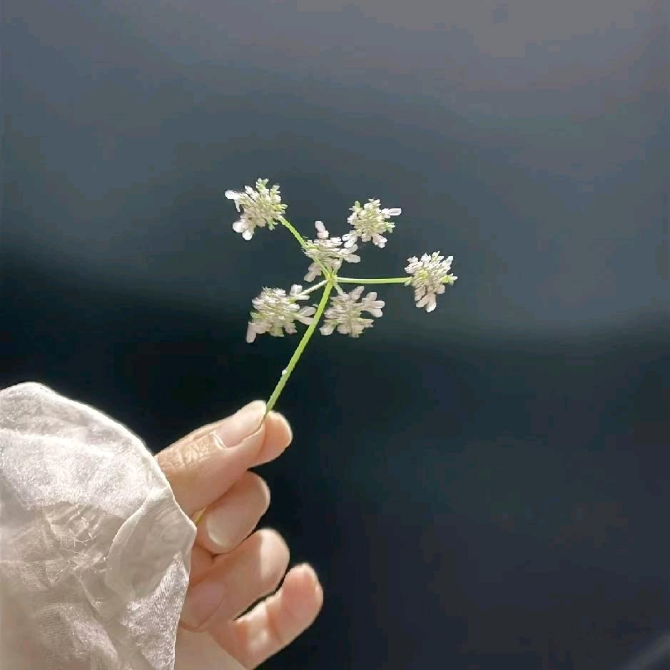 ☘️你是我的🍬🍀