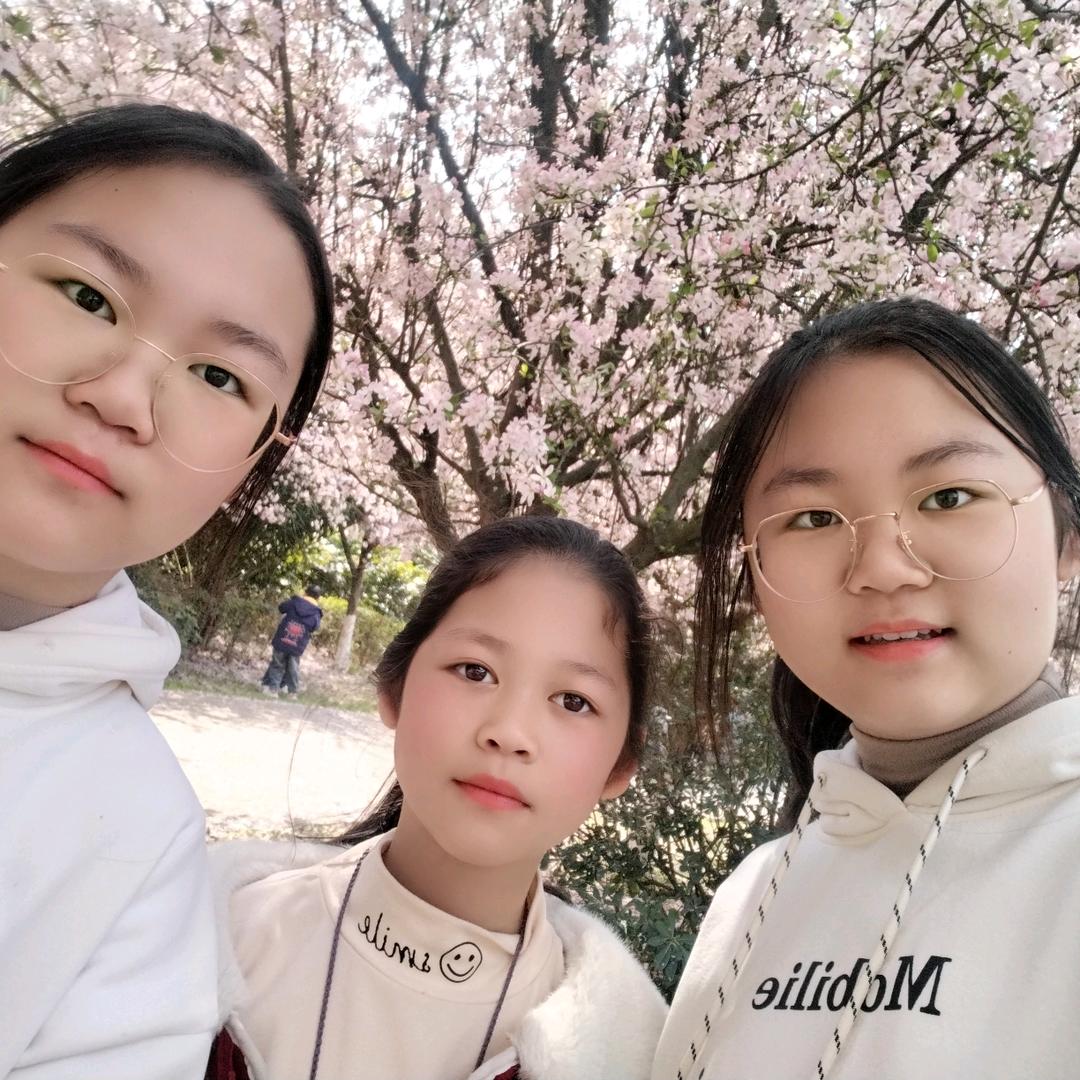 静待花开