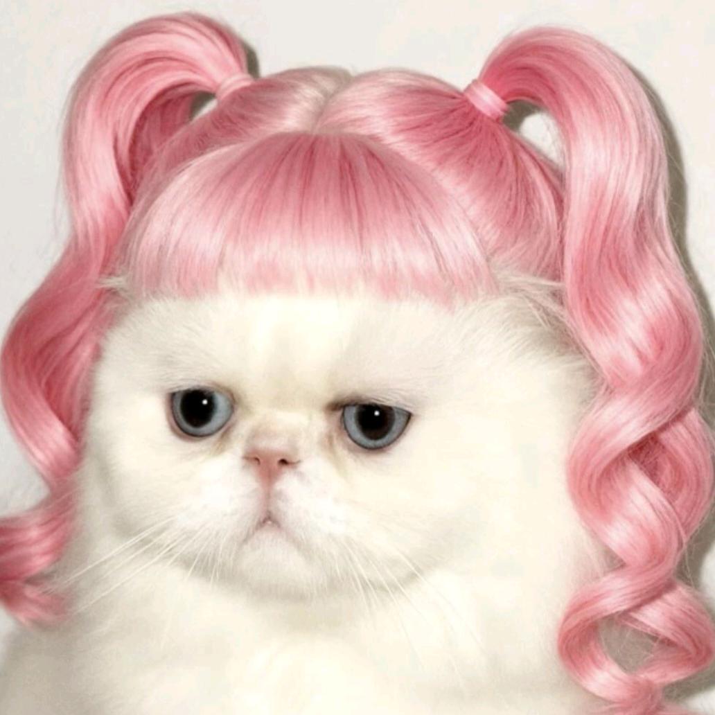 不是小橘是橘橘