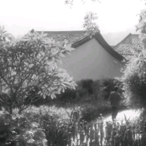 暂无名称