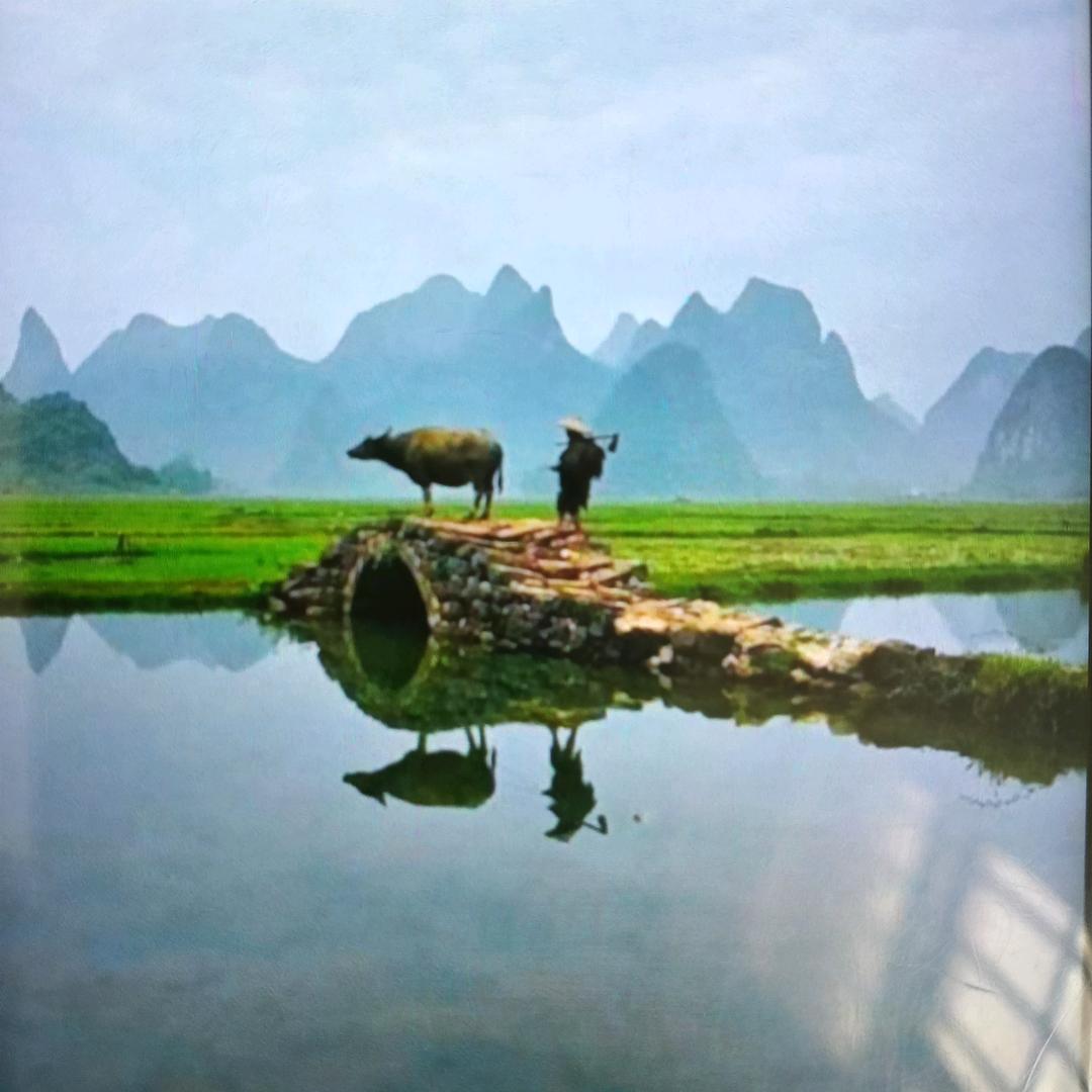 蜂的贵节