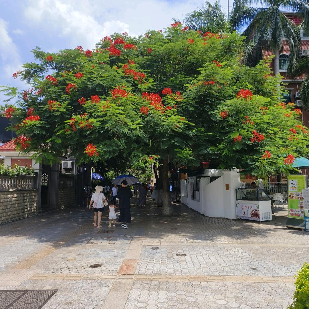 户外缘分