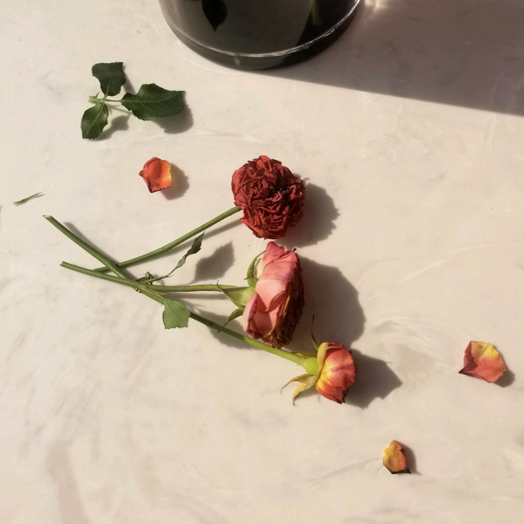 瓶子.