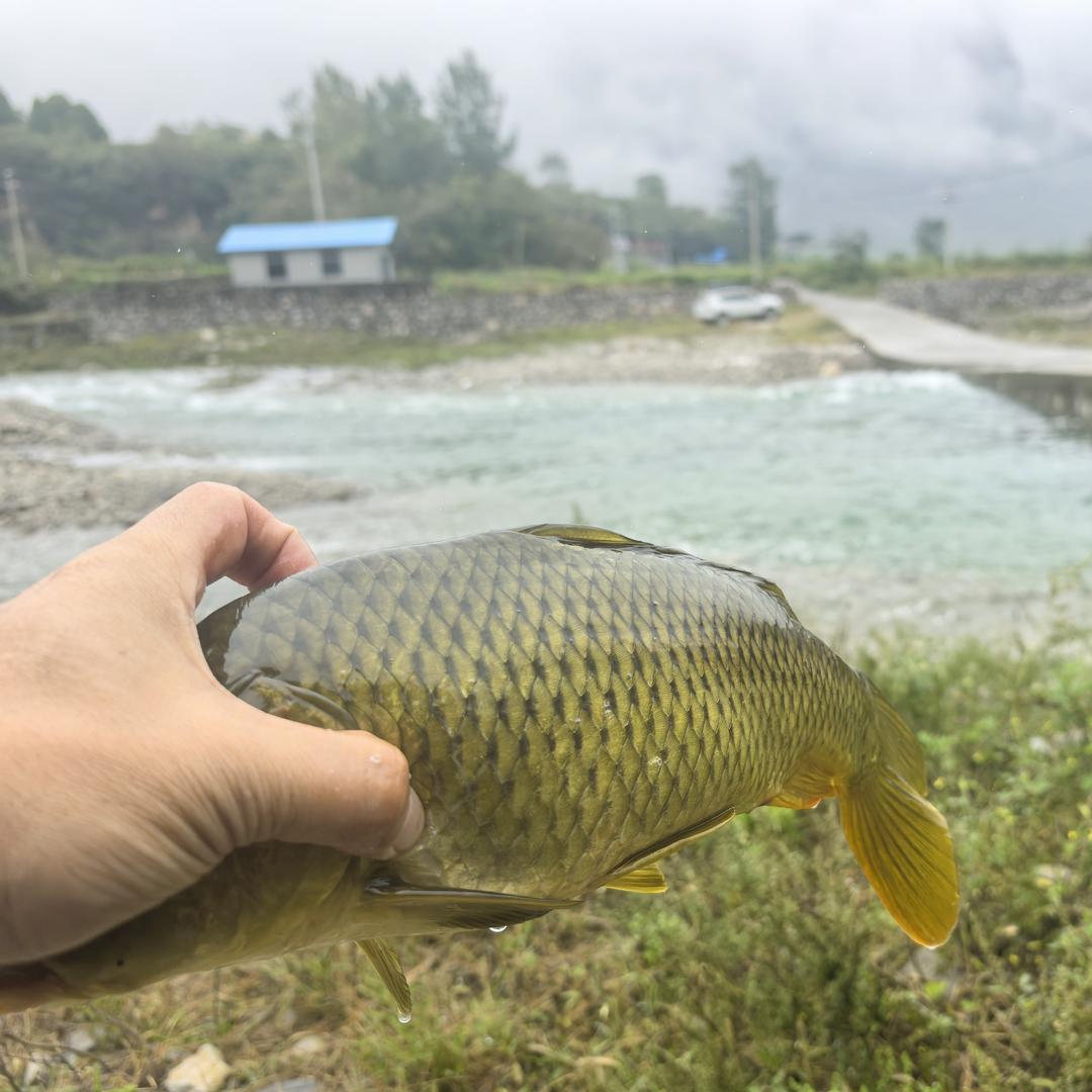 陆游天下