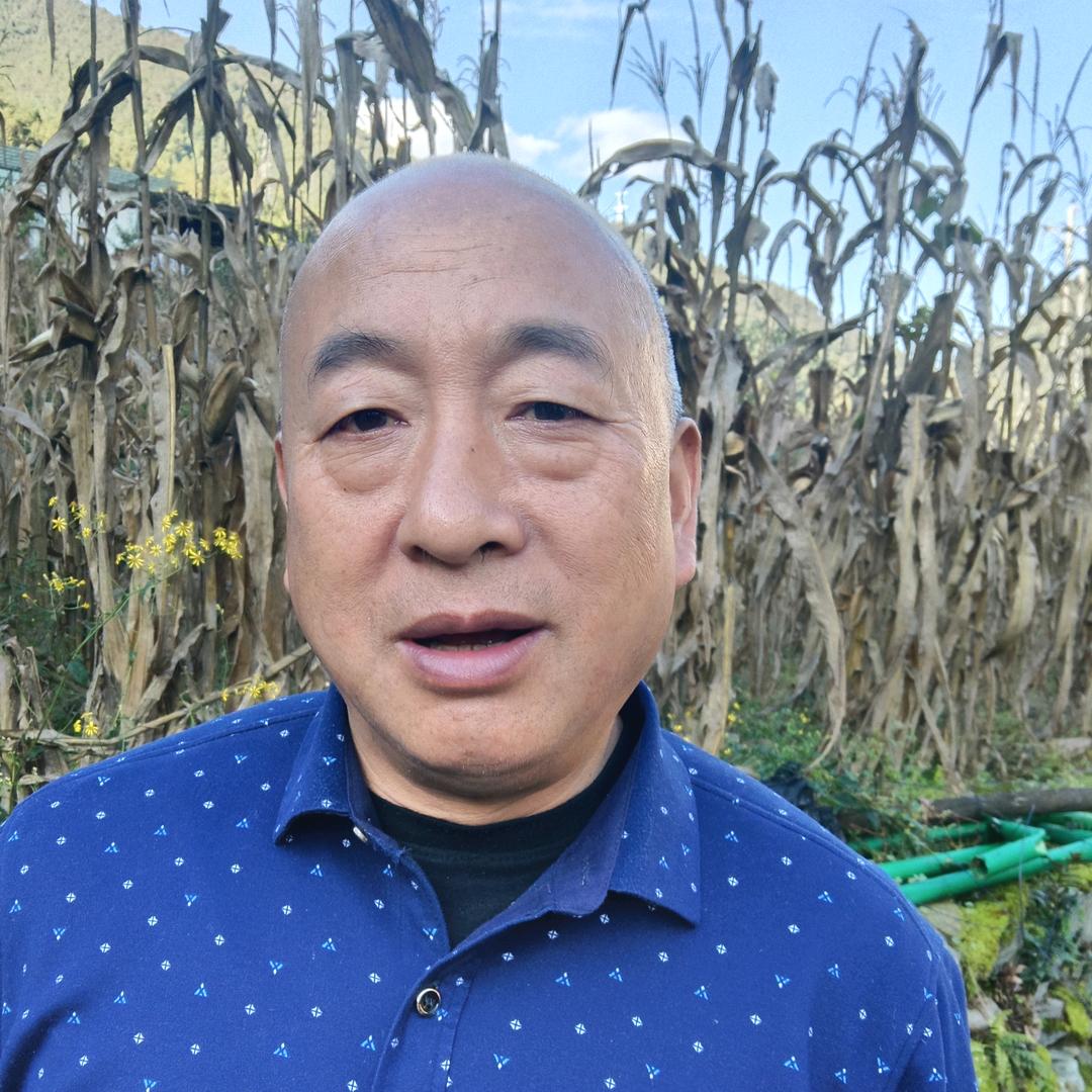 真诚（早6.30开播）