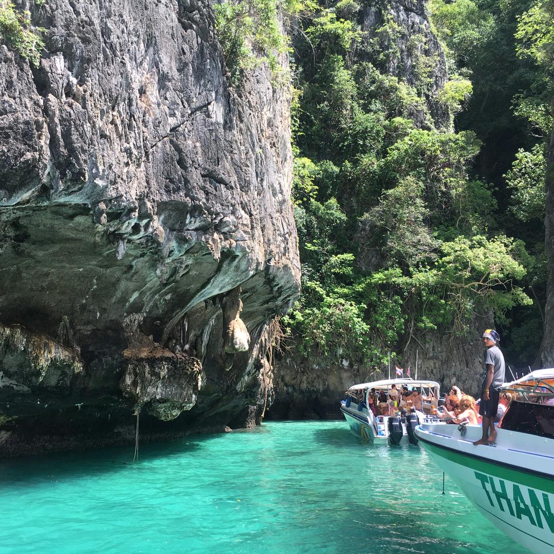 重生之我要输出低脂小视频