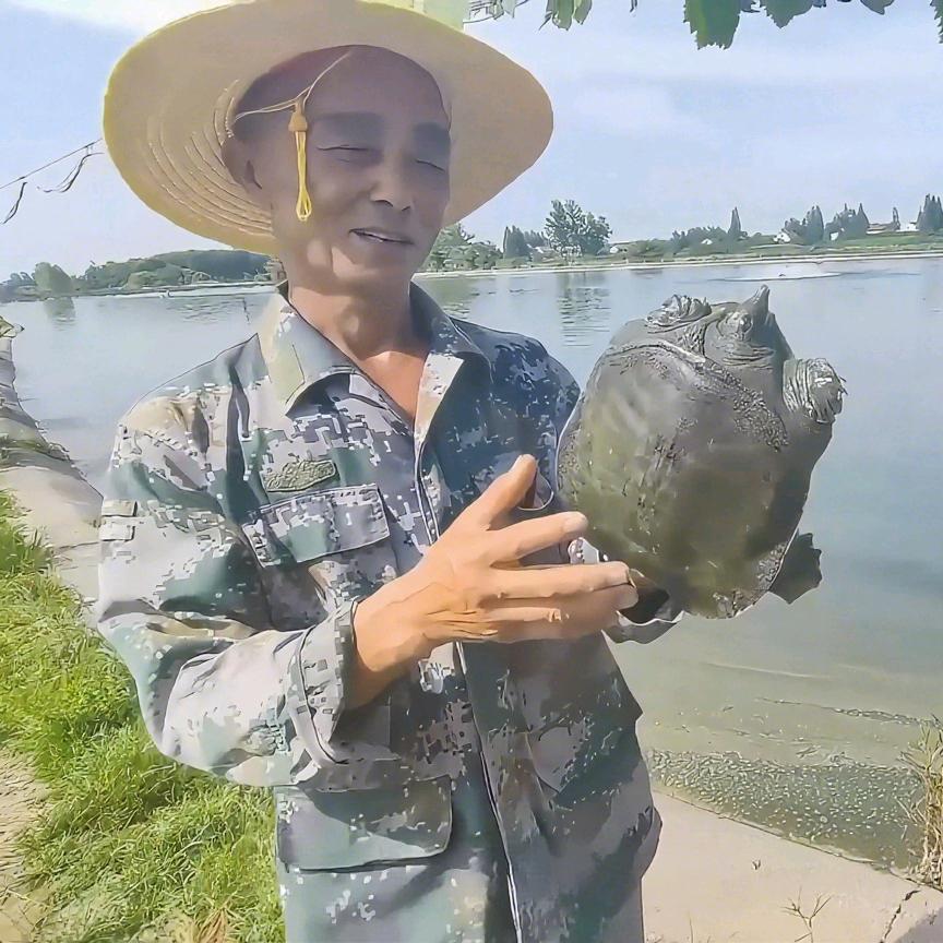 老余生态甲鱼