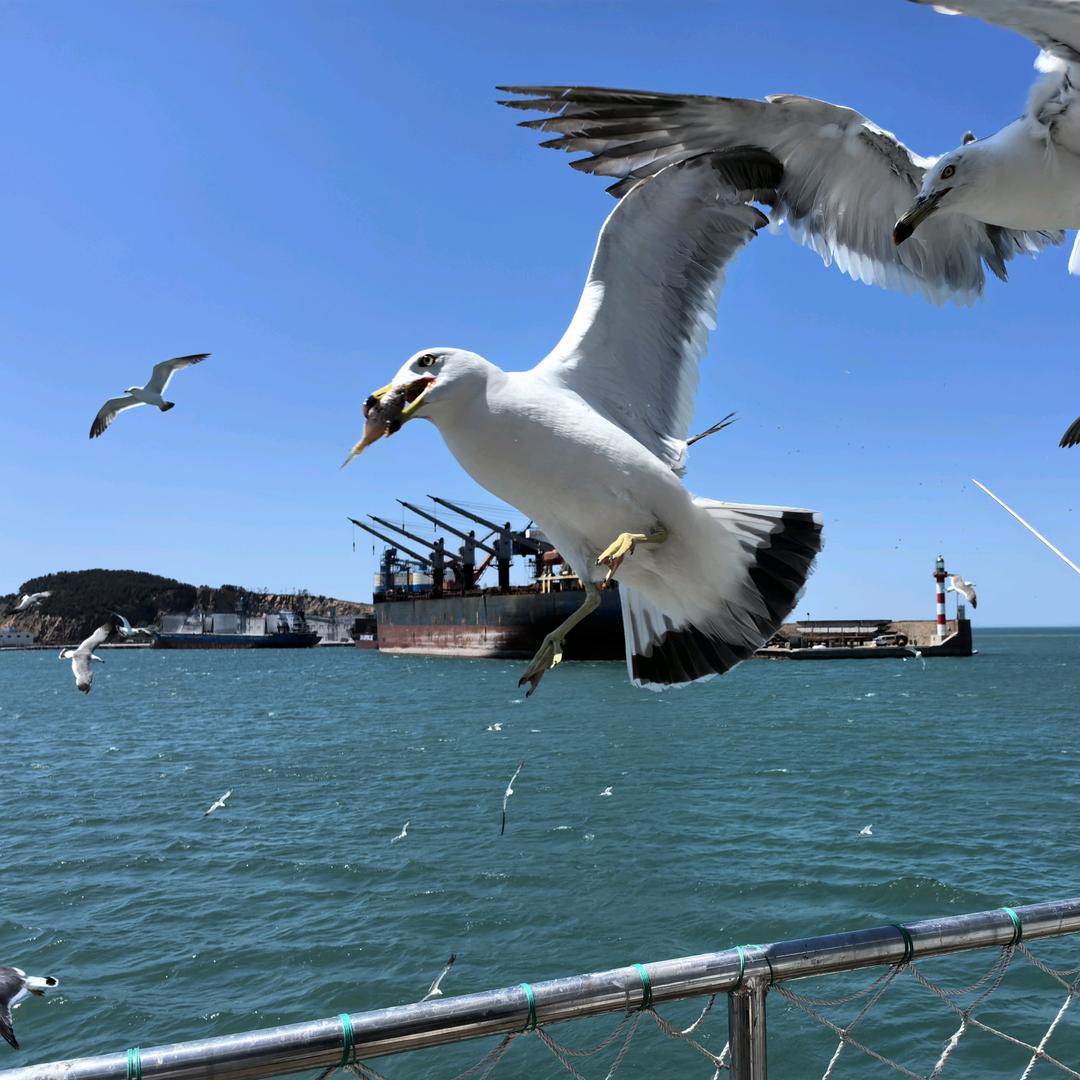 加倍富𖤣𖥧𖥣｡𖤣𖥧𖥣｡