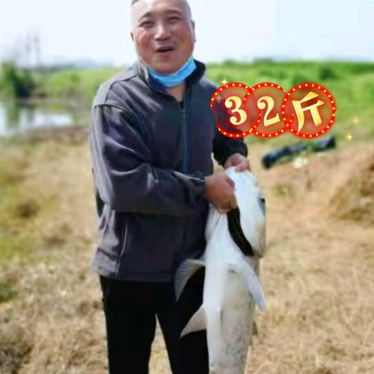 海哥是个钓鱼佬