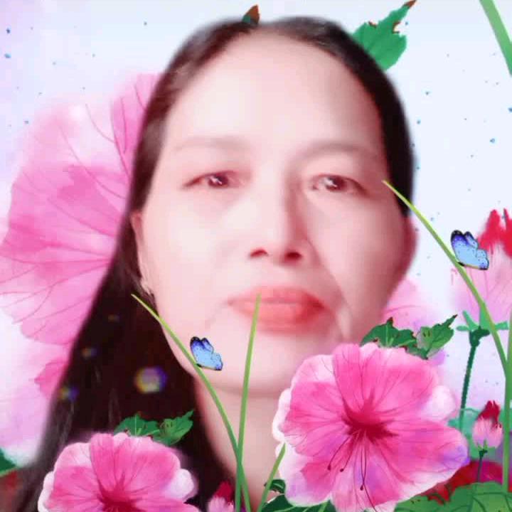 花好月圆637376