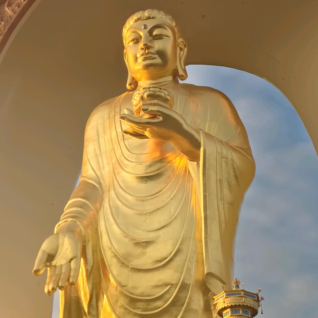 小张爆爆