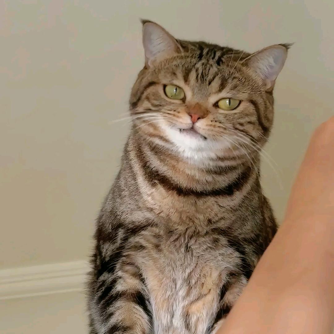 婠婠🌊（财运爆棚无副作用版）