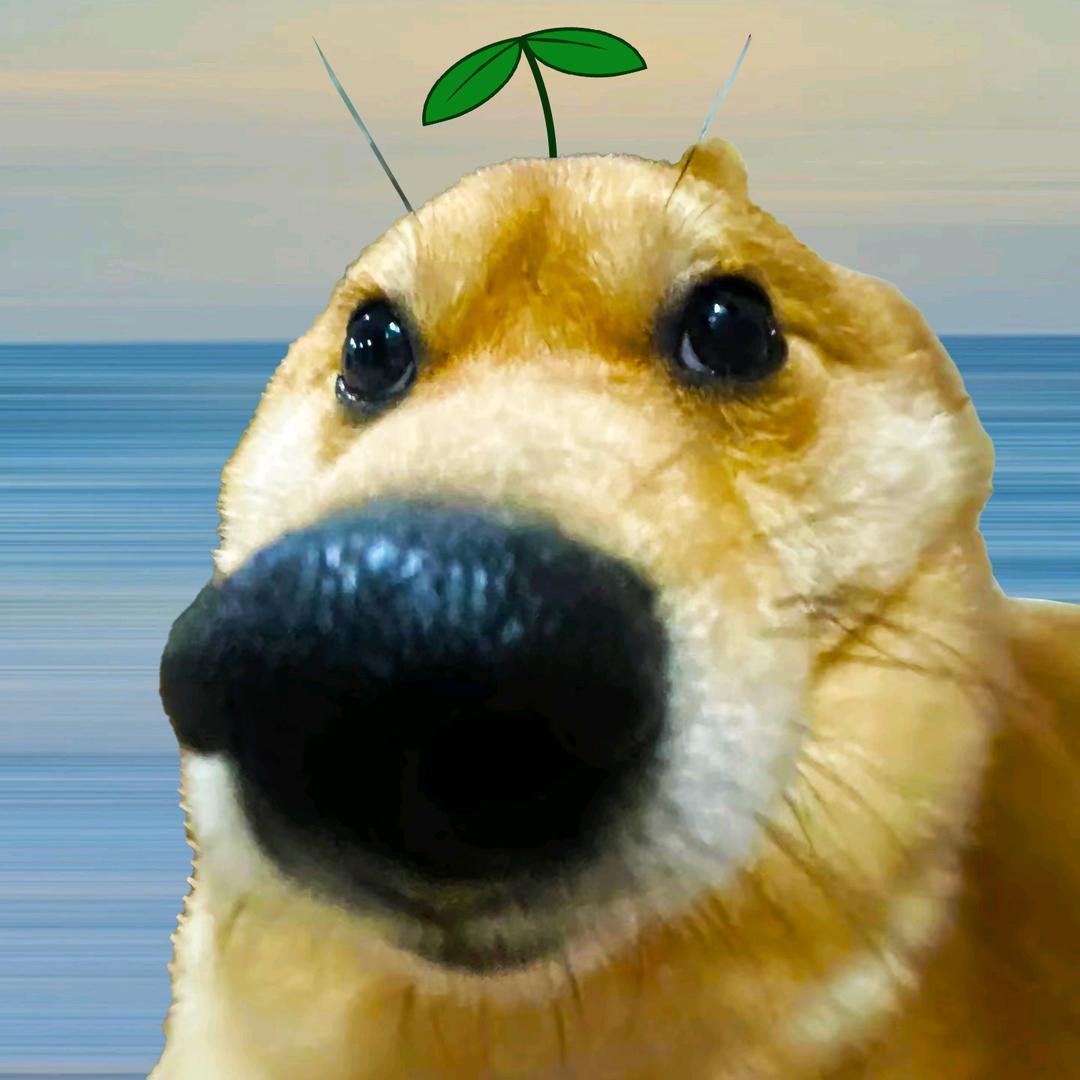 狗头龙（暗区突围）