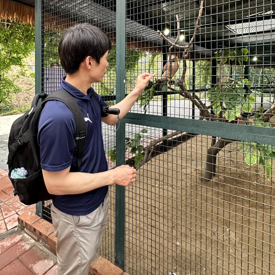 鹏鹏主播