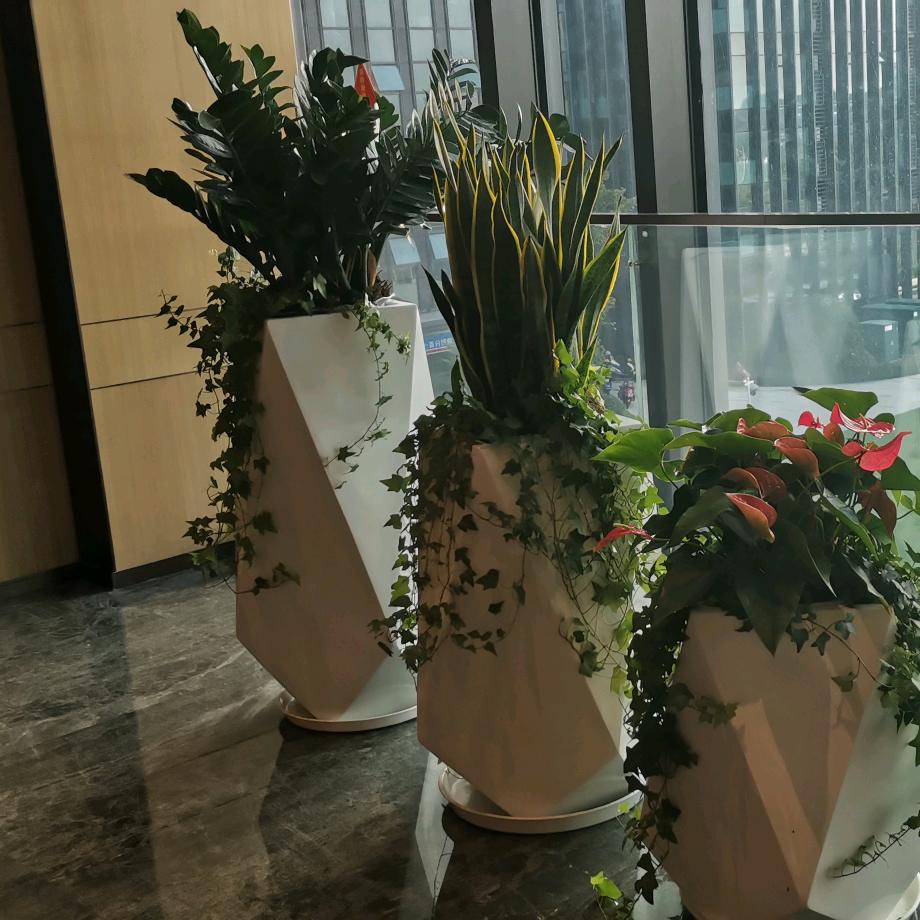 郭子文的阡陌园艺