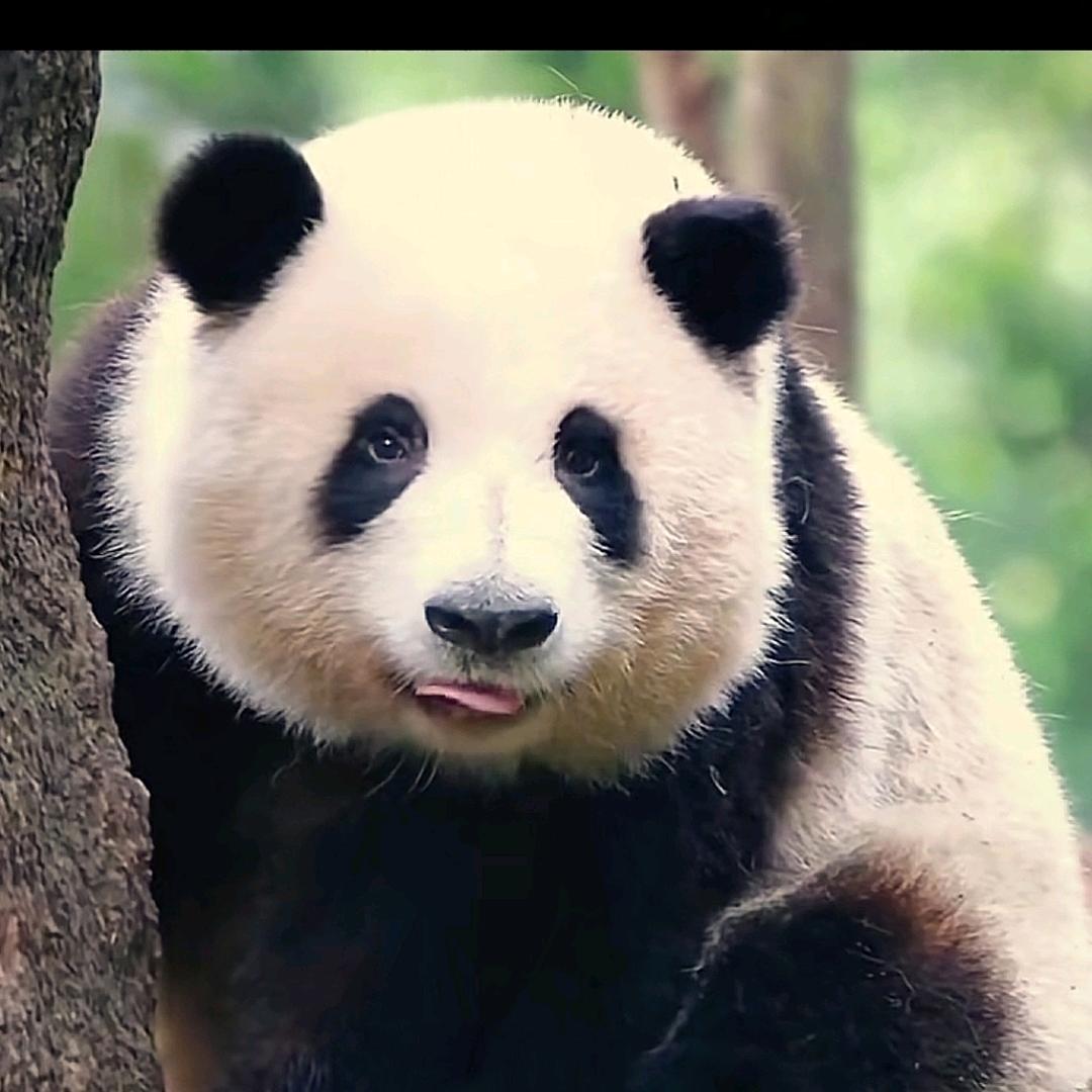 孤影～～《拒绝连赞》