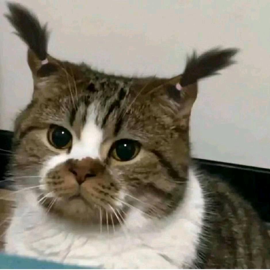 RY