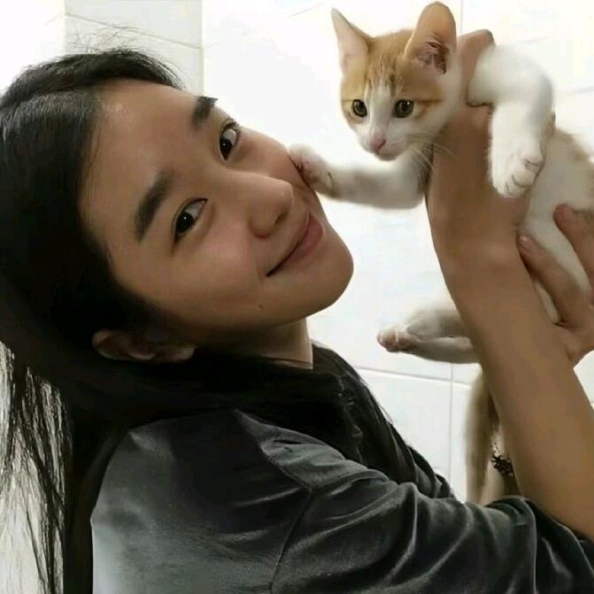 -真心