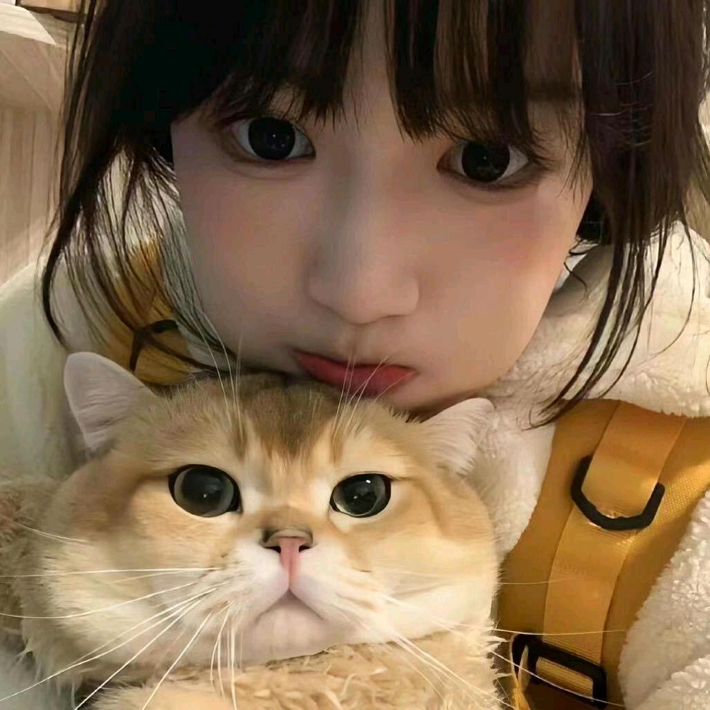 悲伤小猫