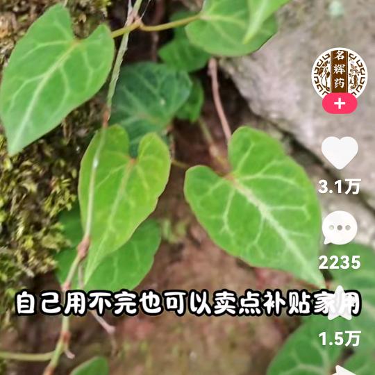 一身财富