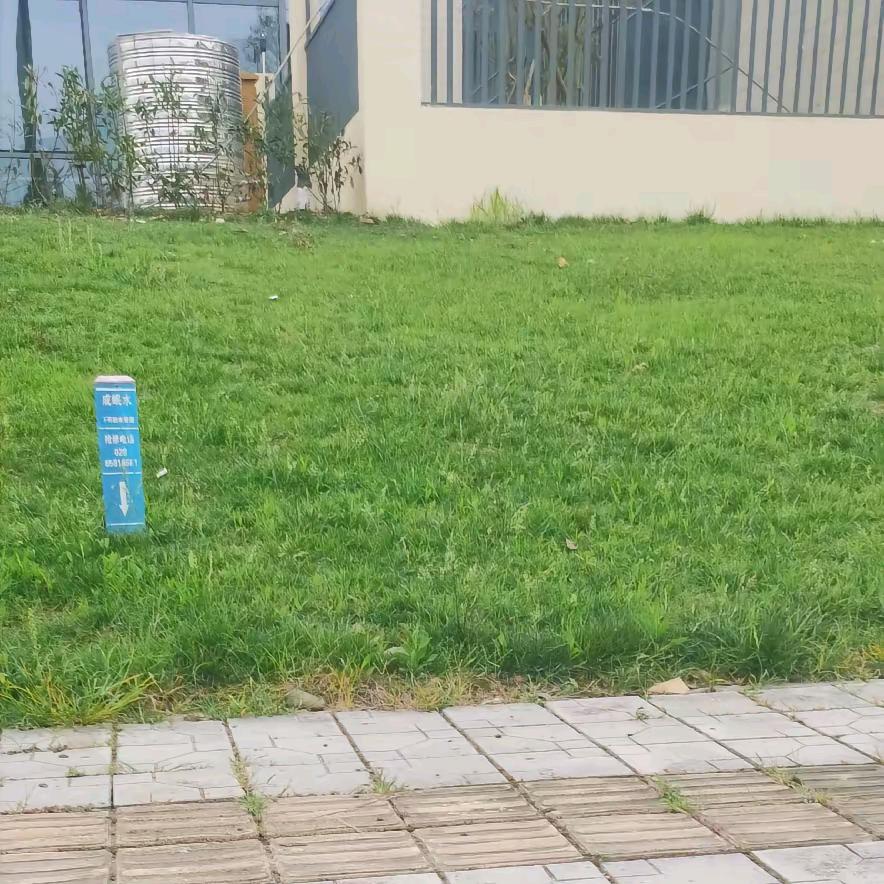 思念