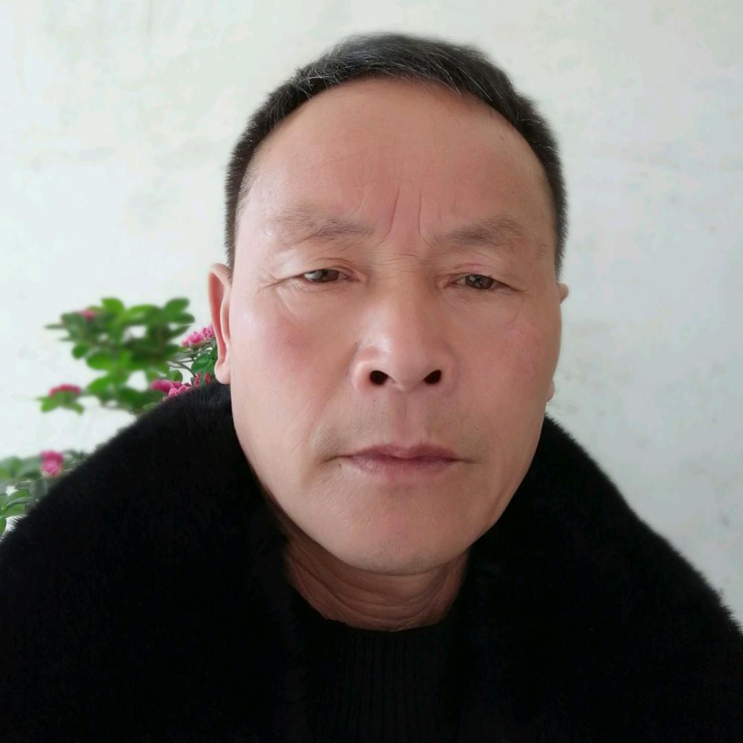 飞🐅虎