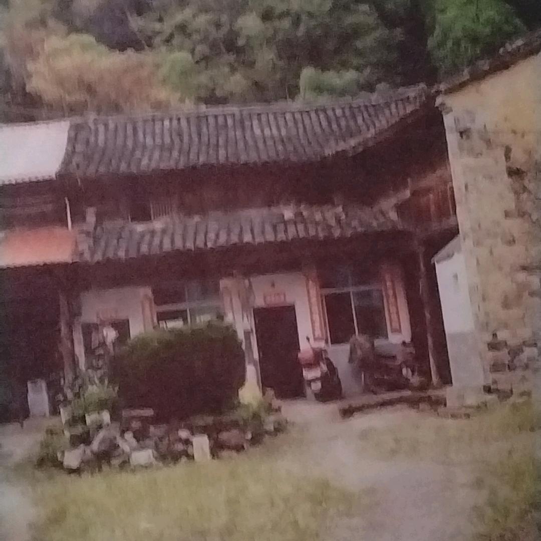 大鱼在农村