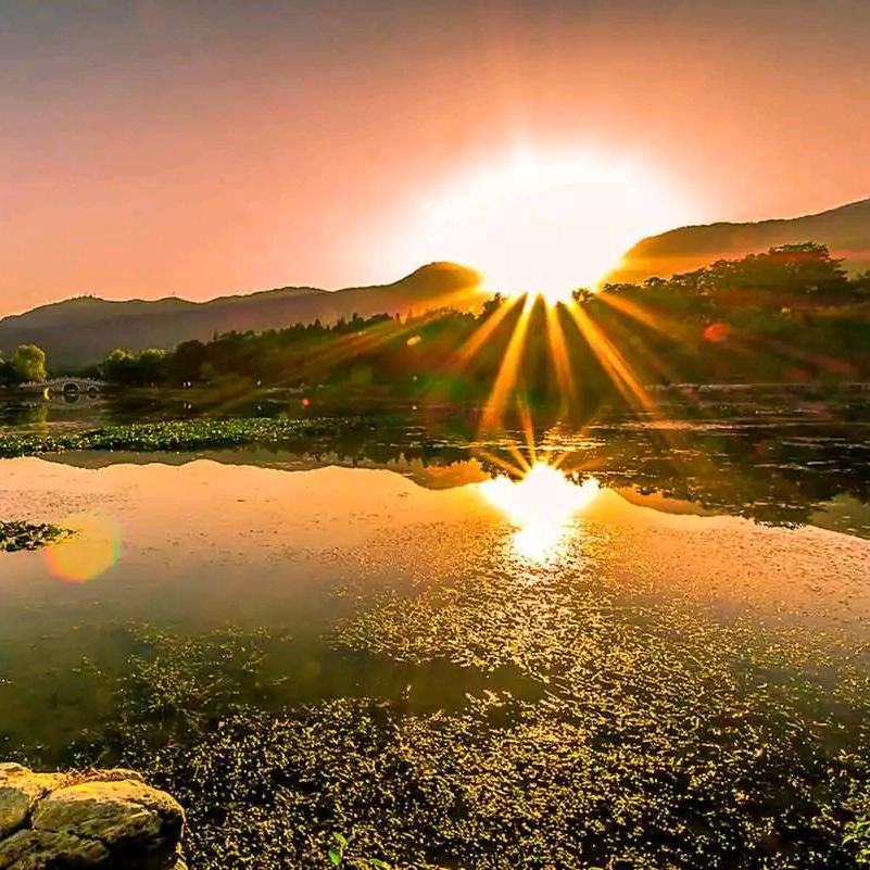 小伊丫益智甄选