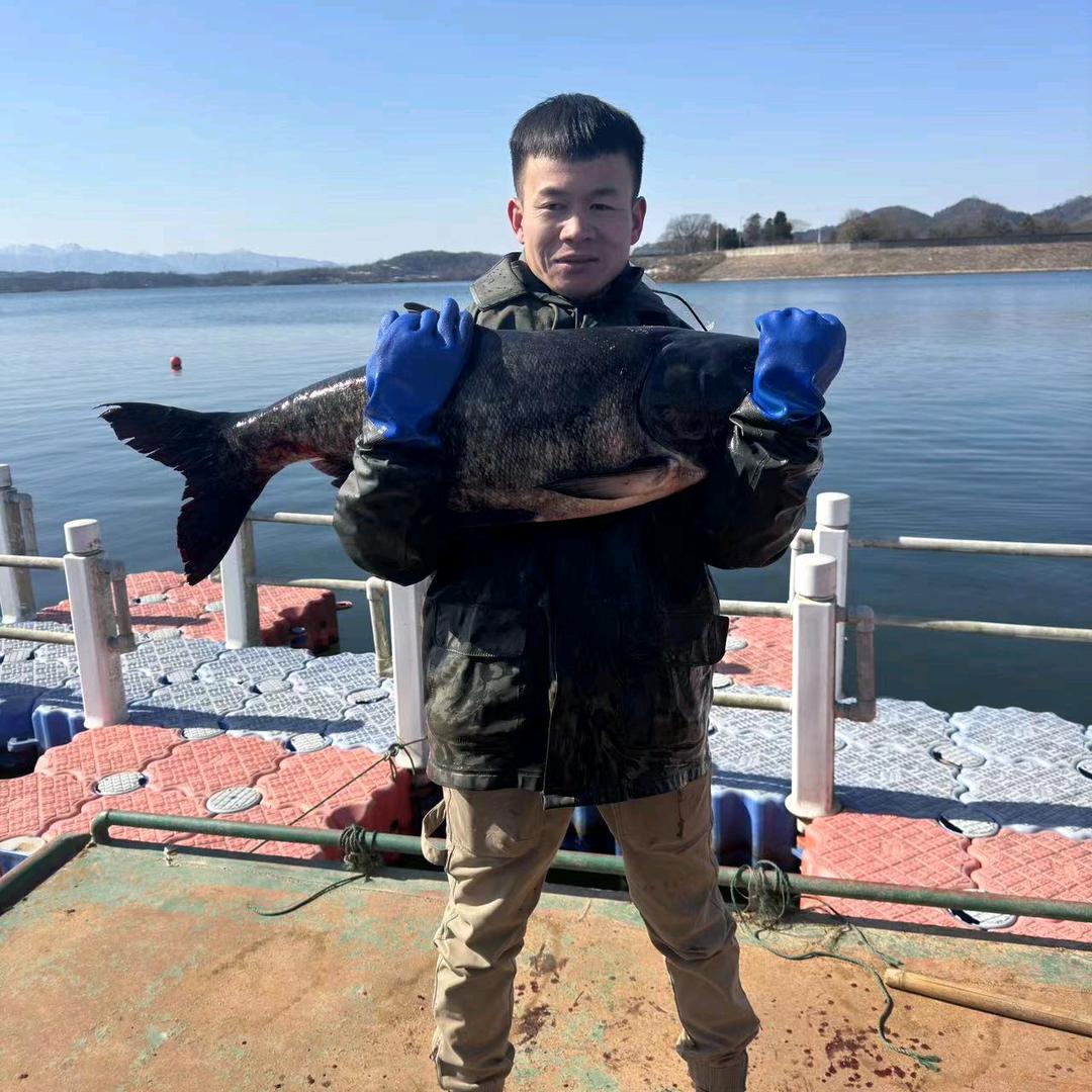 渔农汇生物