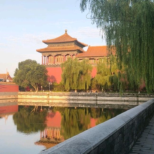 段敏