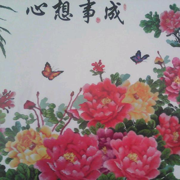 杨领晨丰
