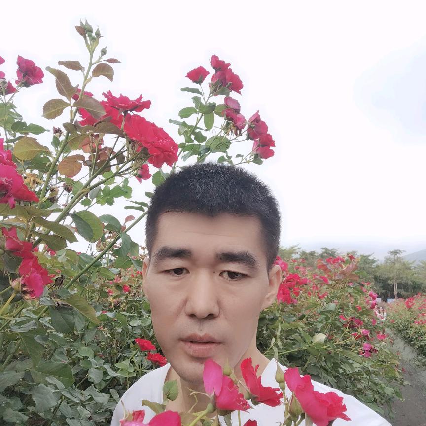 杨哥