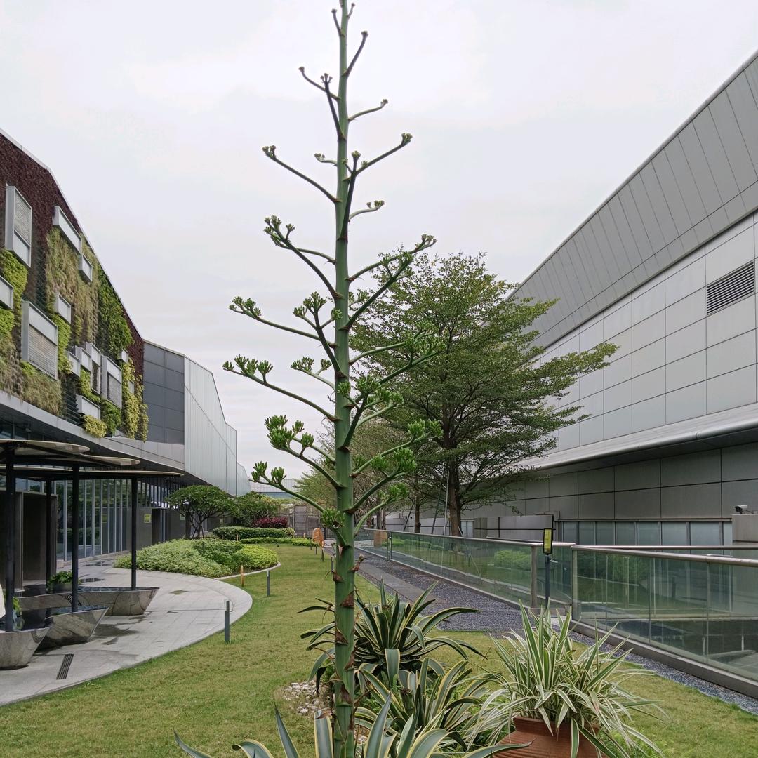 随心順意任我行