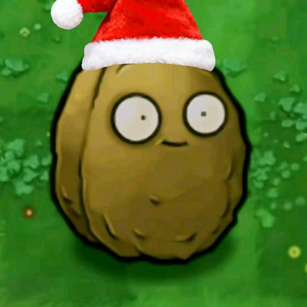 圣诞坚果保龄球