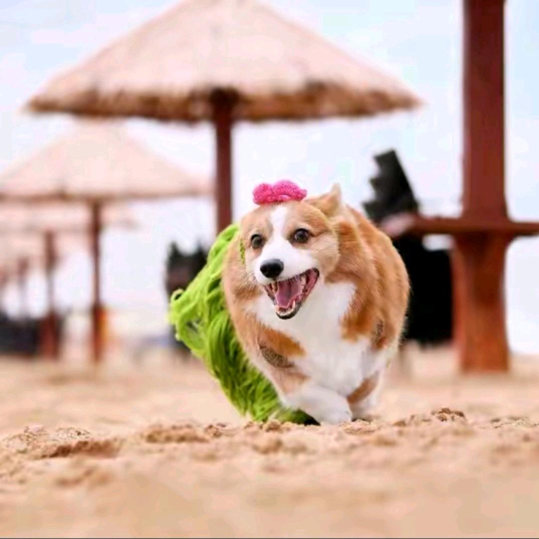 不涵糖的钰林军（线下奔赴王涵郭馨钰版）