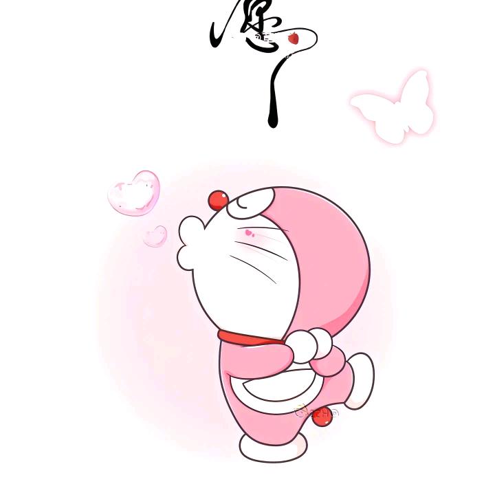 可可粉乐心